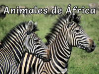 Animales_de_A__frica